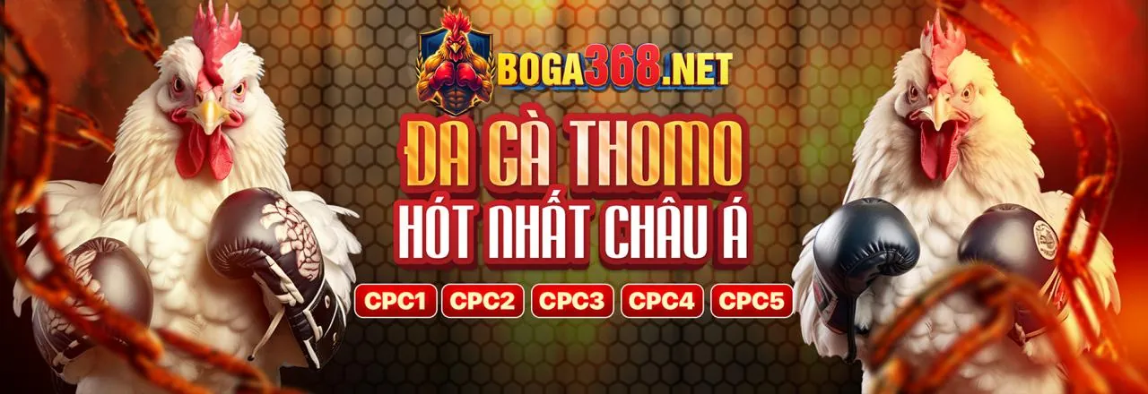Các chương trình khuyến mãi hấp dẫn từ 10nohu