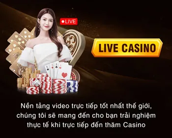 Báo cáo phân tích chi tiết